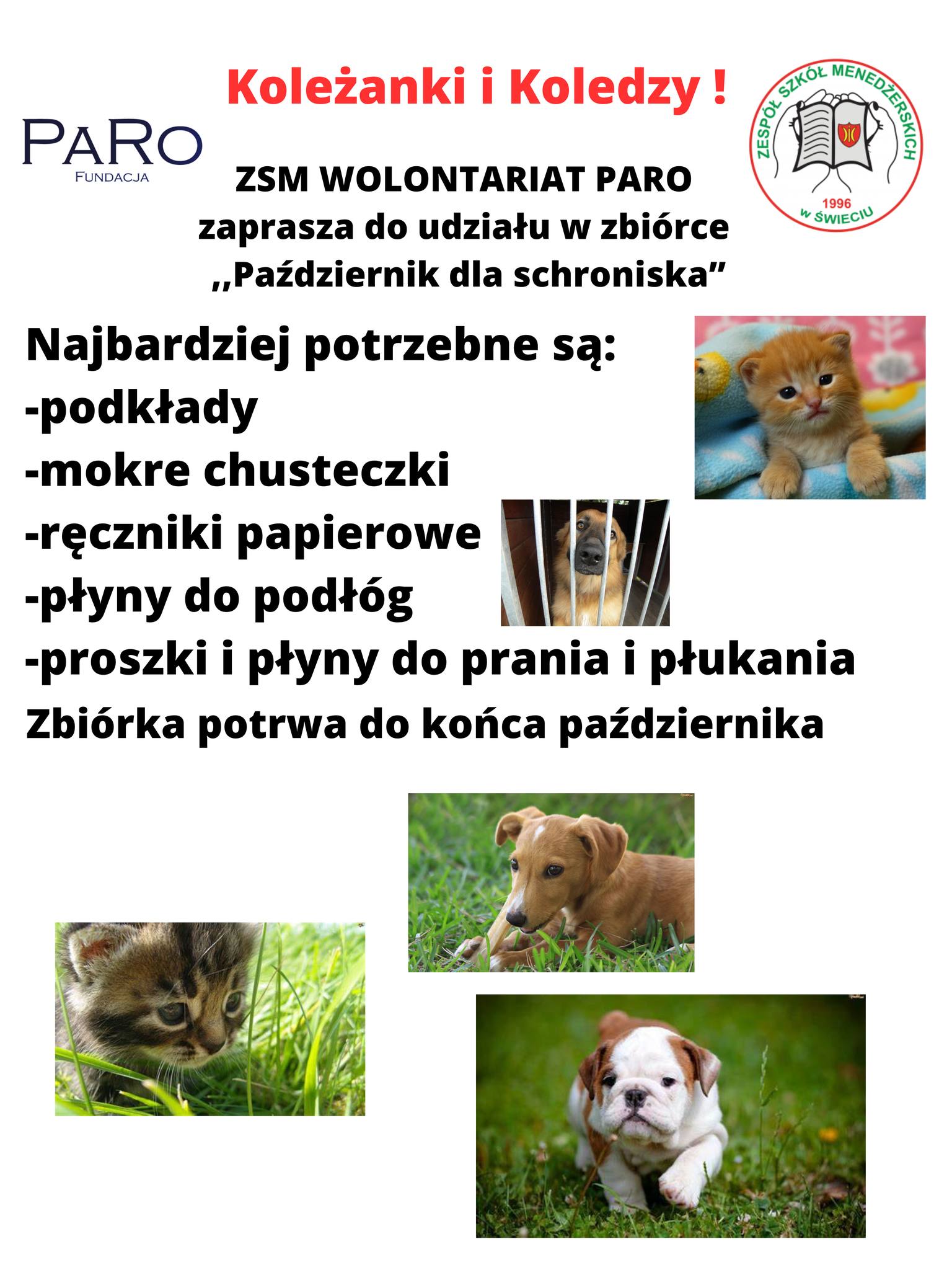 ZSM Wolontariat PARO zaprasza do udziału w zbiórce „Październik dla schroniska”